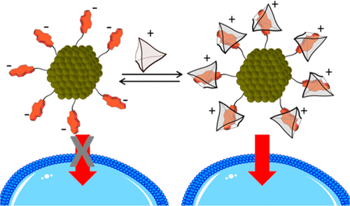 Cellular Uptake of Gold Nanoparticles Triggered by Host–Guest Interactions