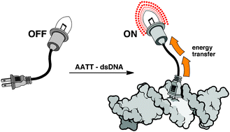 dsDNA-triggered energy transfer and lanthanide sensitization processes. Luminiscent probing of specific A/T sequences