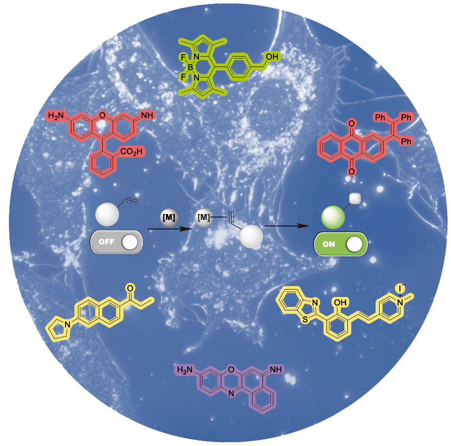Exporting Homogeneous Transition Metal Catalysts to Biological Habitats