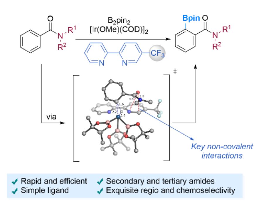 Iridium-Catalyzed ortho-Selective Borylation of Aromatic Amides Enabled by 5-Trifluoromethylated Bipyridine Ligands