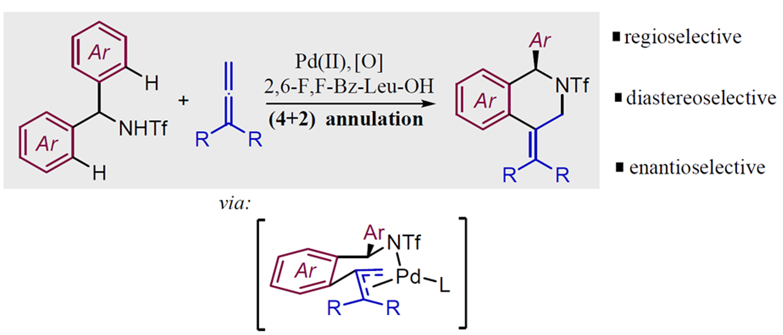 Palladium-catalyzed, enantioselective formal cycloaddition between benzyltriflamides and allenes: Straightforward access to enantioen-riched isoquinolines