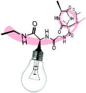 Peptide-based Fluorescent Biosensors