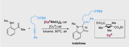 Rhodium(III)‐Catalyzed Annulation of 2‐Alkenylanilides with Alkynes via C‐H Activation: a Direct Access to 2‐substituted Indolines