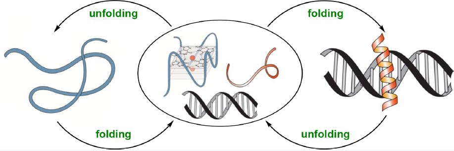 Stimuli-Responsive DNA Binding by Synthetic Systems